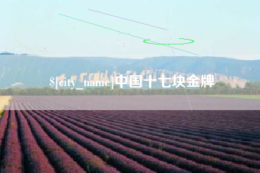 韶关中国十七块金牌