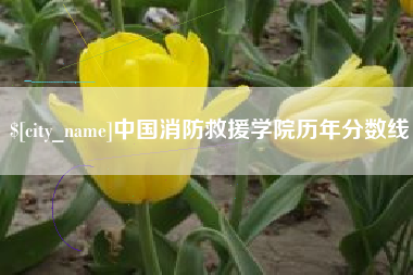 韶关中国消防救援学院历年分数线