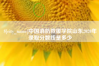 韶关中国消防救援学院山东2020年录取分数线是多少
