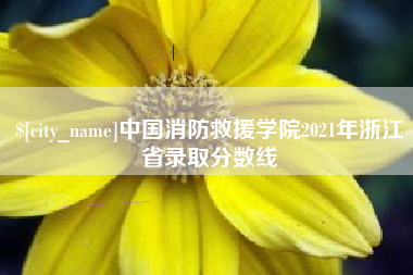 韶关中国消防救援学院2021年浙江省录取分数线