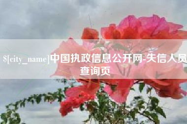韶关中国执政信息公开网-失信人员查询页