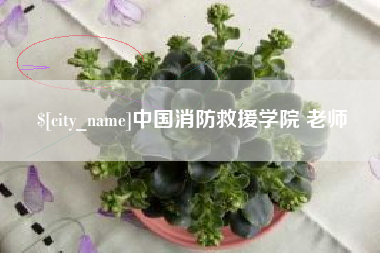 韶关中国消防救援学院 老师