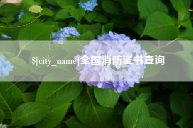 韶关全国消防证书查询