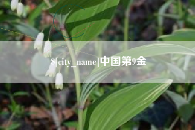 韶关中国第9金