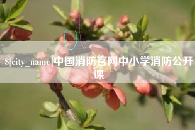 韶关中国消防官网中小学消防公开课