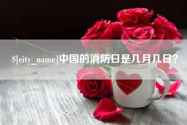 韶关中国的消防日是几月几日？