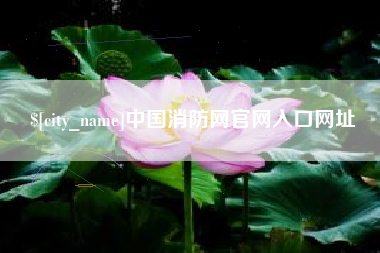 韶关中国消防网官网入口网址