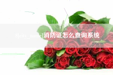 韶关消防证怎么查询系统