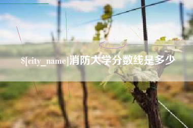 韶关消防大学分数线是多少