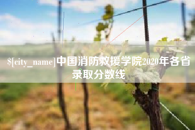 韶关中国消防救援学院2020年各省录取分数线