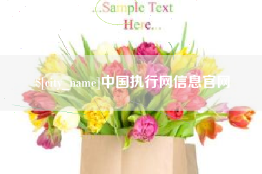 韶关中国执行网信息官网