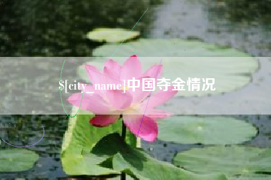 韶关中国夺金情况