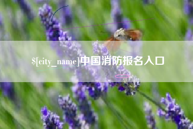 韶关中国消防报名入口