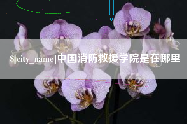 韶关中国消防救援学院是在哪里