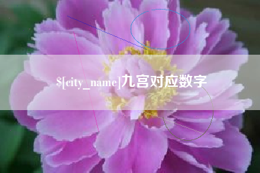 韶关九宫对应数字