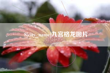 韶关九宫格龙图片