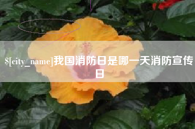 韶关我国消防日是哪一天消防宣传日