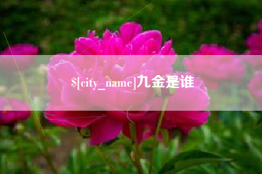 韶关九金是谁