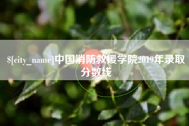 韶关中国消防救援学院2019年录取分数线