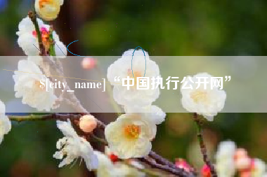 韶关“中国执行公开网”
