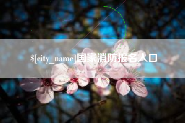 韶关国家消防报名入口