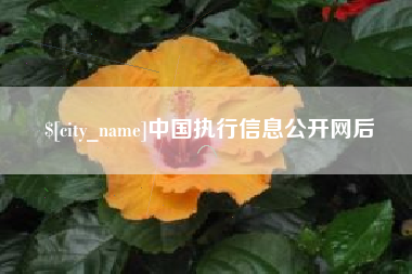 韶关中国执行信息公开网后