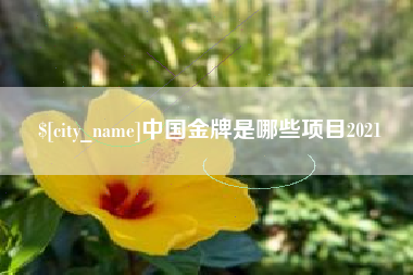 韶关中国金牌是哪些项目2021