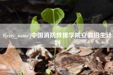 韶关中国消防救援学院安徽招生计划