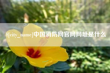 韶关中国消防网官网网址是什么