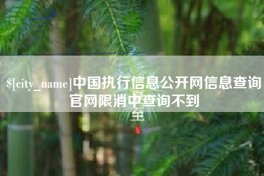韶关中国执行信息公开网信息查询官网限消中查询不到