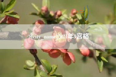 韶关2021年9宫格