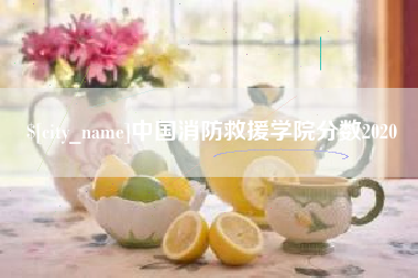 韶关中国消防救援学院分数2020