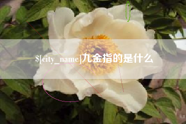 韶关九金指的是什么