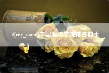 韶关中国消防学院排名前十