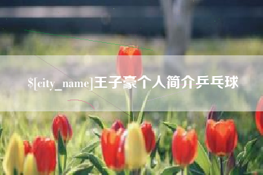 韶关王子豪个人简介乒乓球