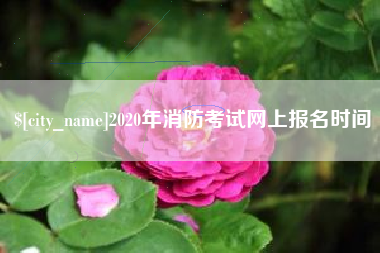 韶关2020年消防考试网上报名时间