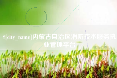 韶关内蒙古自治区消防技术服务执业管理平台