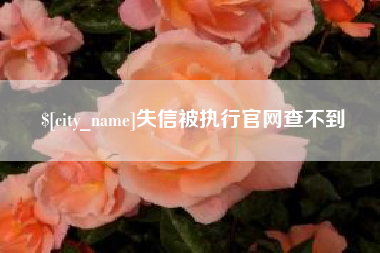 韶关失信被执行官网查不到