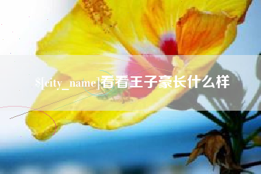 韶关看看王子豪长什么样