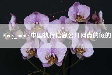 韶关中国执行信息公开网真的假的
