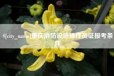 韶关重庆消防设施操作员证报考条件