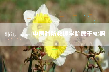 韶关中国消防救援学院属于985吗