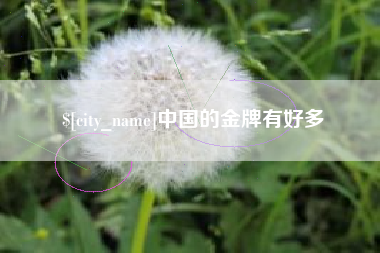 韶关中国的金牌有好多