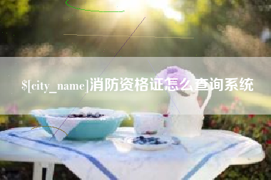 韶关消防资格证怎么查询系统