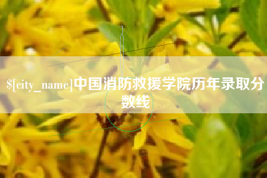 韶关中国消防救援学院历年录取分数线