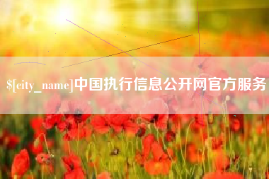韶关中国执行信息公开网官方服务