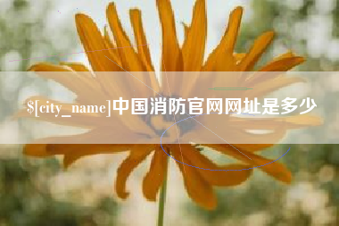 韶关中国消防官网网址是多少