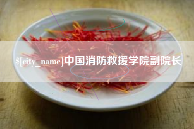 韶关中国消防救援学院副院长