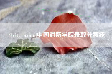 韶关中国消防学院录取分数线