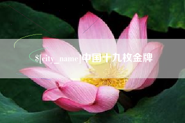 韶关中国十九枚金牌